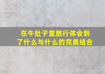 在牛肚子里旅行体会到了什么与什么的完美结合