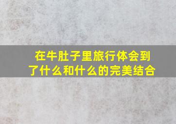 在牛肚子里旅行体会到了什么和什么的完美结合