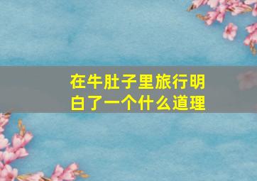 在牛肚子里旅行明白了一个什么道理