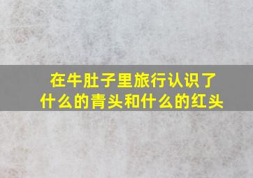 在牛肚子里旅行认识了什么的青头和什么的红头