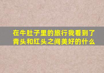 在牛肚子里的旅行我看到了青头和红头之间美好的什么