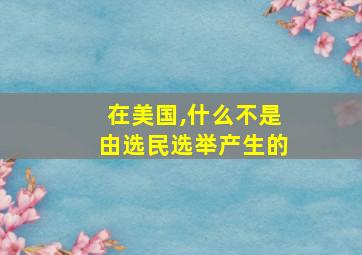 在美国,什么不是由选民选举产生的