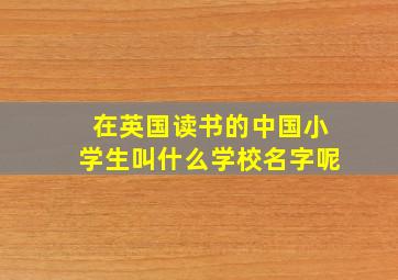 在英国读书的中国小学生叫什么学校名字呢