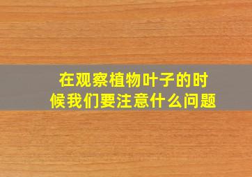 在观察植物叶子的时候我们要注意什么问题