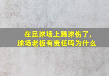 在足球场上踢球伤了,球场老板有责任吗为什么