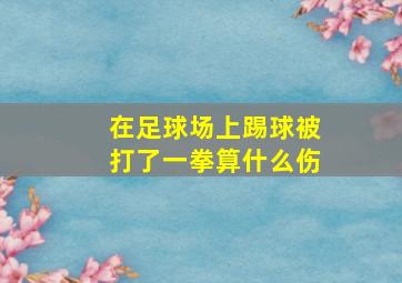 在足球场上踢球被打了一拳算什么伤