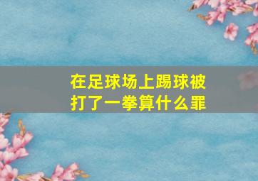 在足球场上踢球被打了一拳算什么罪