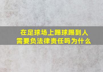 在足球场上踢球踢到人需要负法律责任吗为什么