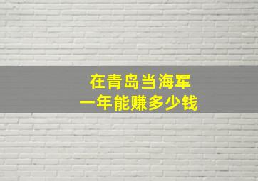 在青岛当海军一年能赚多少钱