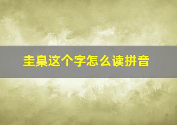 圭臬这个字怎么读拼音