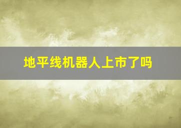 地平线机器人上市了吗