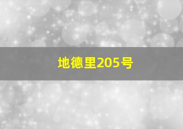 地德里205号