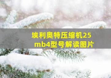 埃利奥特压缩机25mb4型号解读图片