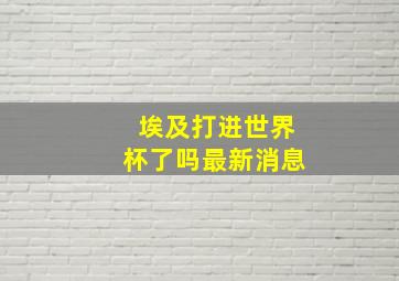 埃及打进世界杯了吗最新消息