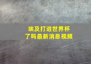 埃及打进世界杯了吗最新消息视频