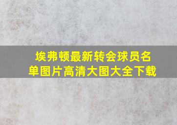 埃弗顿最新转会球员名单图片高清大图大全下载