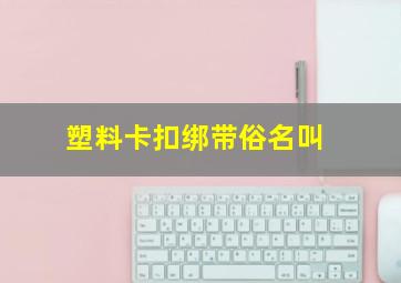 塑料卡扣绑带俗名叫