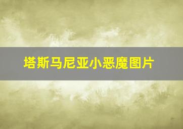 塔斯马尼亚小恶魔图片