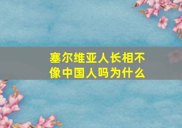 塞尔维亚人长相不像中国人吗为什么