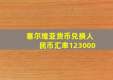 塞尔维亚货币兑换人民币汇率123000