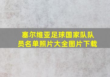 塞尔维亚足球国家队队员名单照片大全图片下载