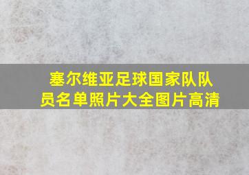 塞尔维亚足球国家队队员名单照片大全图片高清