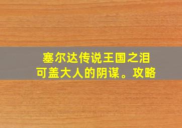 塞尔达传说王国之泪可盖大人的阴谋。攻略