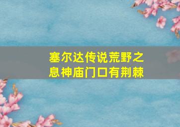 塞尔达传说荒野之息神庙门口有荆棘