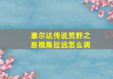 塞尔达传说荒野之息视角拉远怎么调