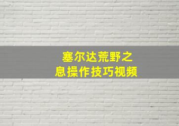 塞尔达荒野之息操作技巧视频