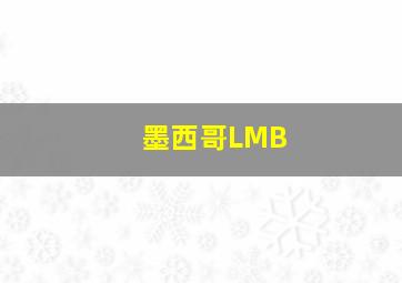 墨西哥LMB