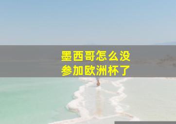 墨西哥怎么没参加欧洲杯了