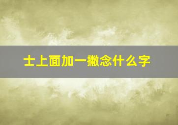 士上面加一撇念什么字