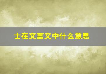 士在文言文中什么意思