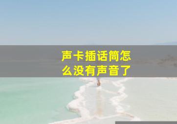 声卡插话筒怎么没有声音了