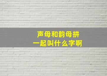 声母和韵母拼一起叫什么字啊