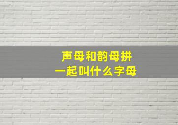 声母和韵母拼一起叫什么字母