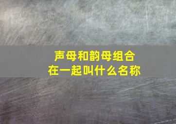 声母和韵母组合在一起叫什么名称