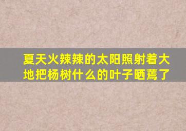 夏天火辣辣的太阳照射着大地把杨树什么的叶子晒蔫了