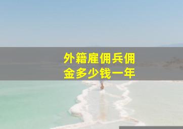 外籍雇佣兵佣金多少钱一年