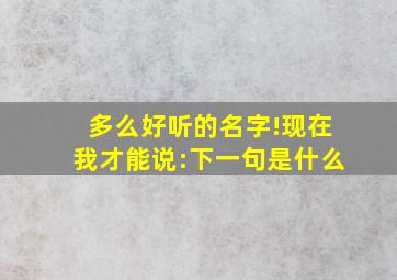 多么好听的名字!现在我才能说:下一句是什么