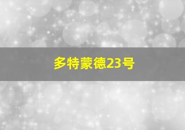 多特蒙德23号