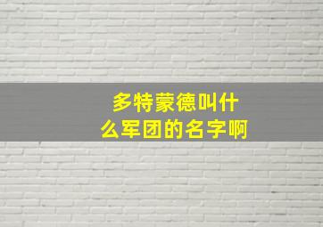 多特蒙德叫什么军团的名字啊