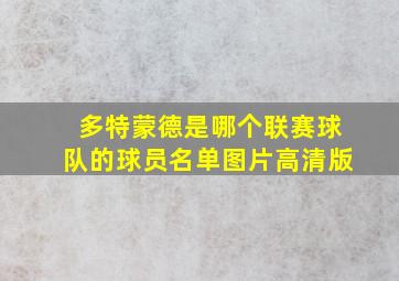 多特蒙德是哪个联赛球队的球员名单图片高清版