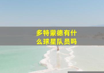 多特蒙德有什么球星队员吗