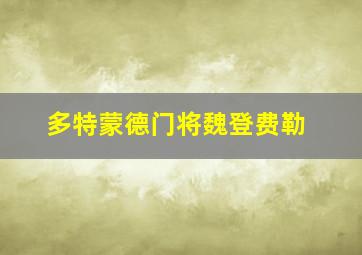 多特蒙德门将魏登费勒