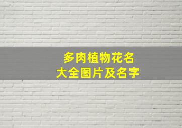 多肉植物花名大全图片及名字