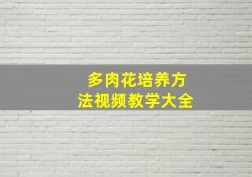 多肉花培养方法视频教学大全