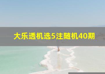 大乐透机选5注随机40期