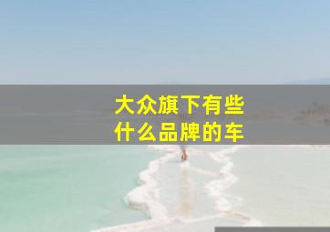 大众旗下有些什么品牌的车